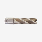 Кольцевая фреза MILWAUKEE HSS (WELDON), Ø17x50мм