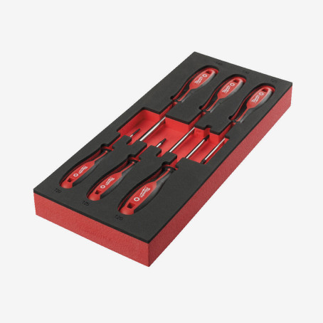 Ложемент з викрутками магнітними MILWAUKEE з тригранною рукояткою, TORX (6шт)