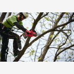 Пила цепная аккумуляторная MILWAUKEE, M18 FUEL FHS20-552, 200 мм (+заряд.устр, 2 аккум.Х 5.5Ач)